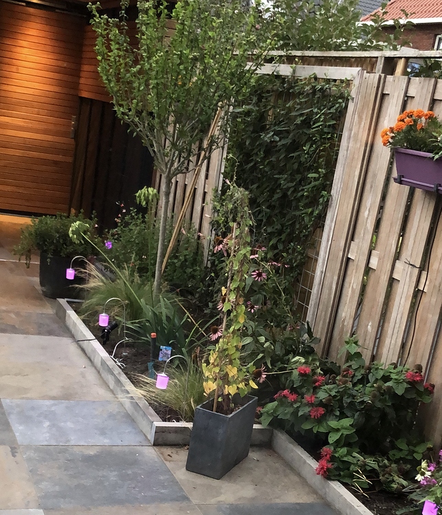 ESPHome Light Effects? ESPHome Home Assistant Community