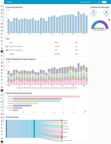 screencapture-grullycasa-duckdns-org-8123-energy-2025-10-26-19_12_15