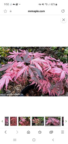 Screenshot_20250627-095235_Samsung Internet