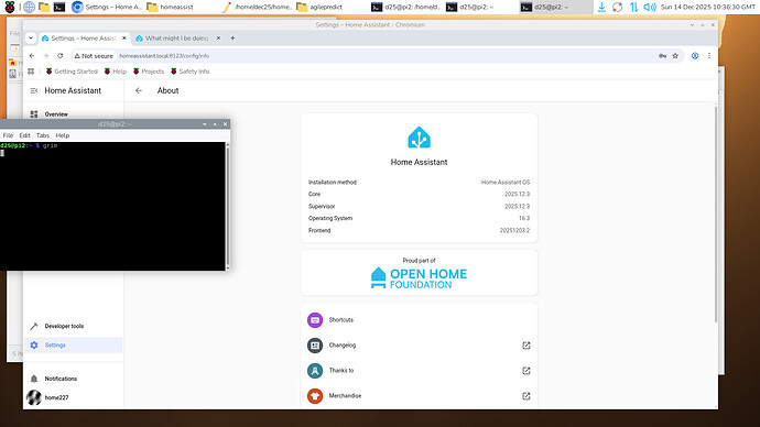 20251214_10h36m31s_grim