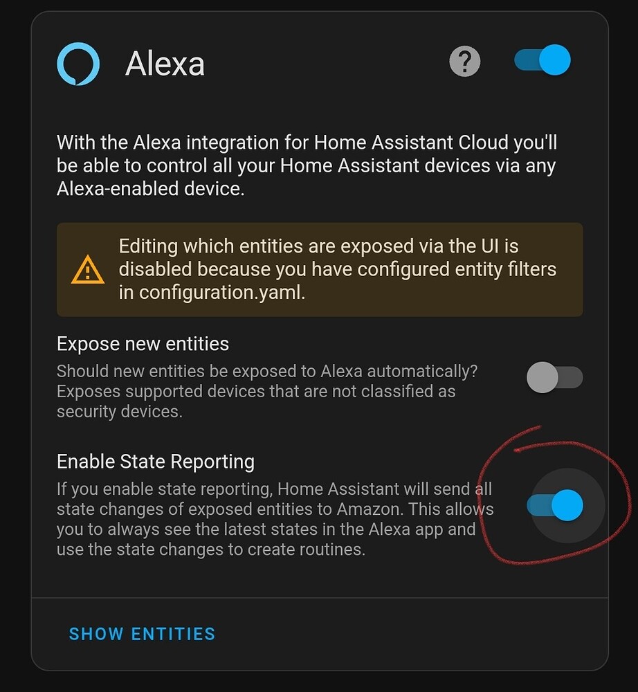 Force Sync for Alexa Home Assistant Community