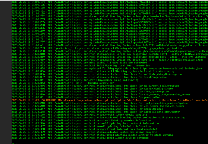Screenshot 2025-06-25 125356