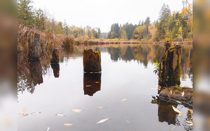 snapshot_camera_album_slideshow_bilderrahmen_jochen_12.5.2026, 20_50_25