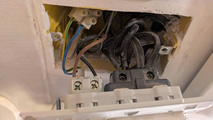 PXL_20260117_195010308