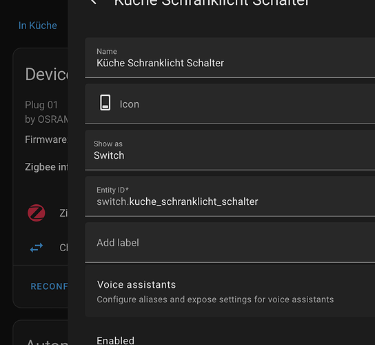 Sonoff relay can not change type? - Configuration - Home Assistant ...
