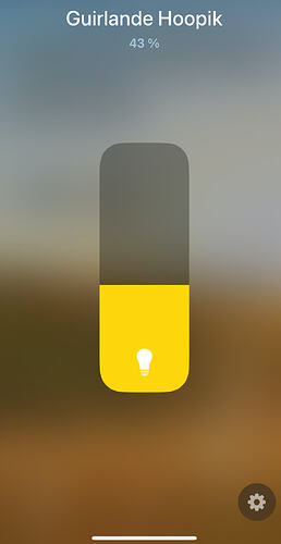 Hoopik_app