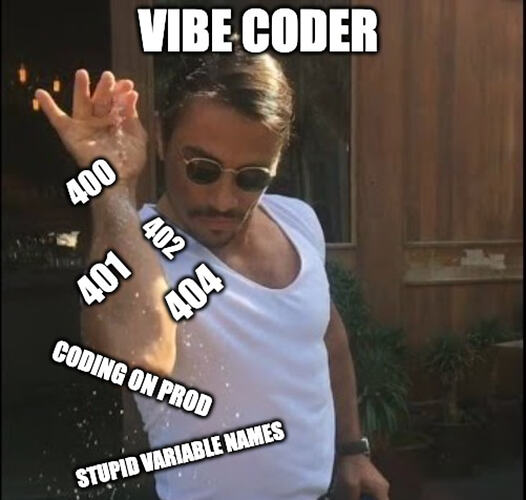 vibe coding