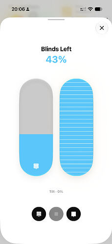 Blind controls