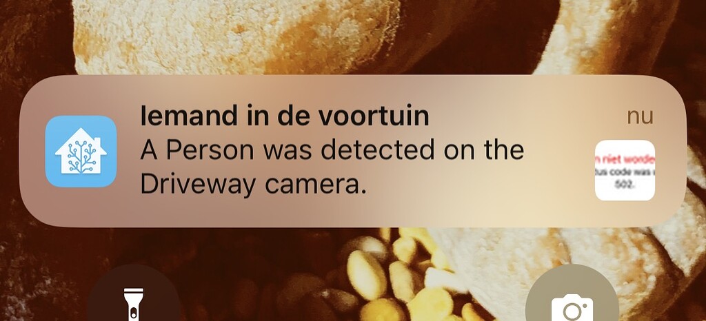 No More Iphone Notifictions And Frigate Notifications With 502 Error 