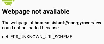 tempFileForShare_20260226-181459