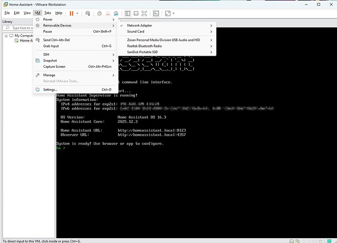 VMWare_Removable Devices