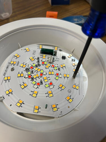 IMG_2410