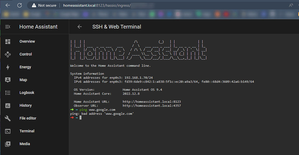 HAOS Running on TrueNAS Scale VM Cannot access some external URLs