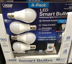 fiet bulbs-costco 2s
