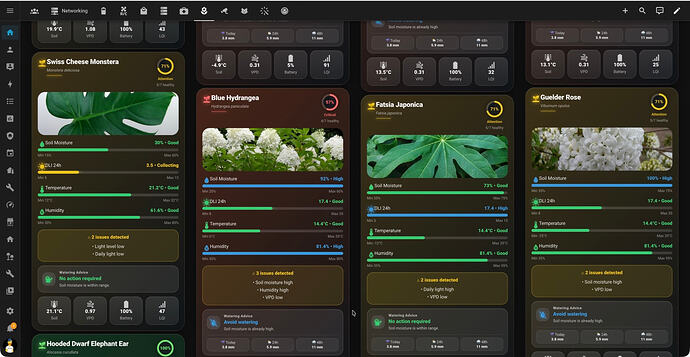 multi-card-dashboard