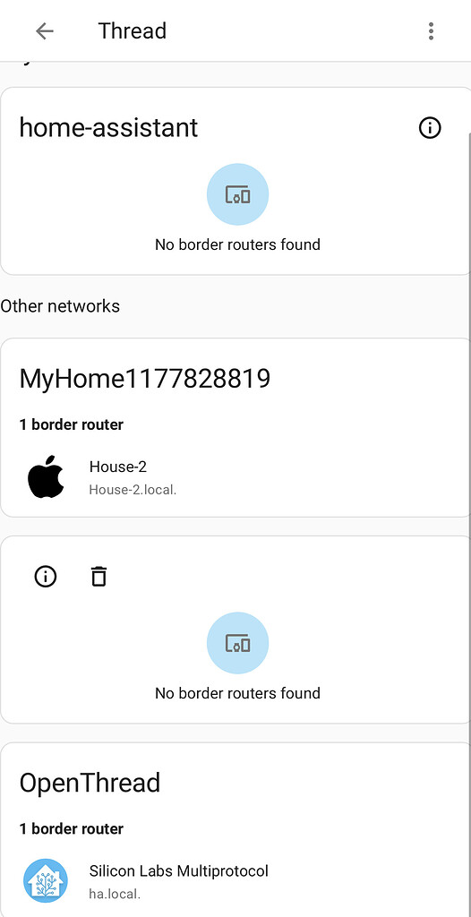 SkyConnect Thread Border Router not defined inside HA Configuration