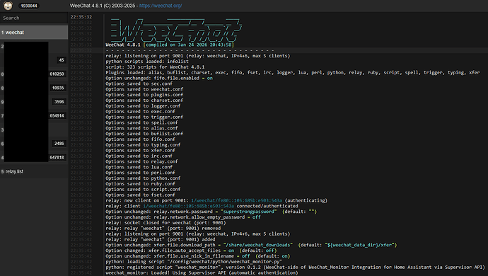WeeChat Terminal from Glowing Bear