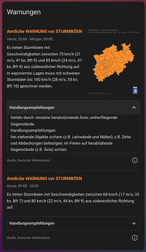 NINA and DWD Warnings Card Screenshot