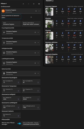 Screenshot Editor ausgeklappt de