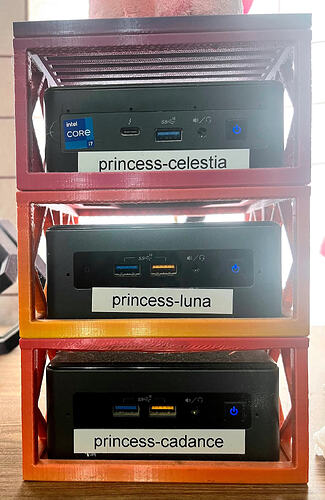 A redundant array of inexpensive servers.