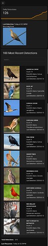 birdweather-mobile-desktop