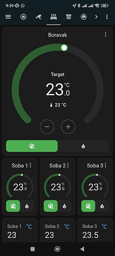 Screenshot_2023-12-14-09-39-13-790_io.homeassistant.companion.android