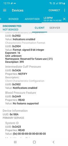 Screenshot_20250826_121948_nRF Connect