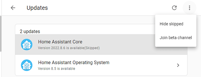 Skipped updates not showing - Configuration - Home Assistant Community