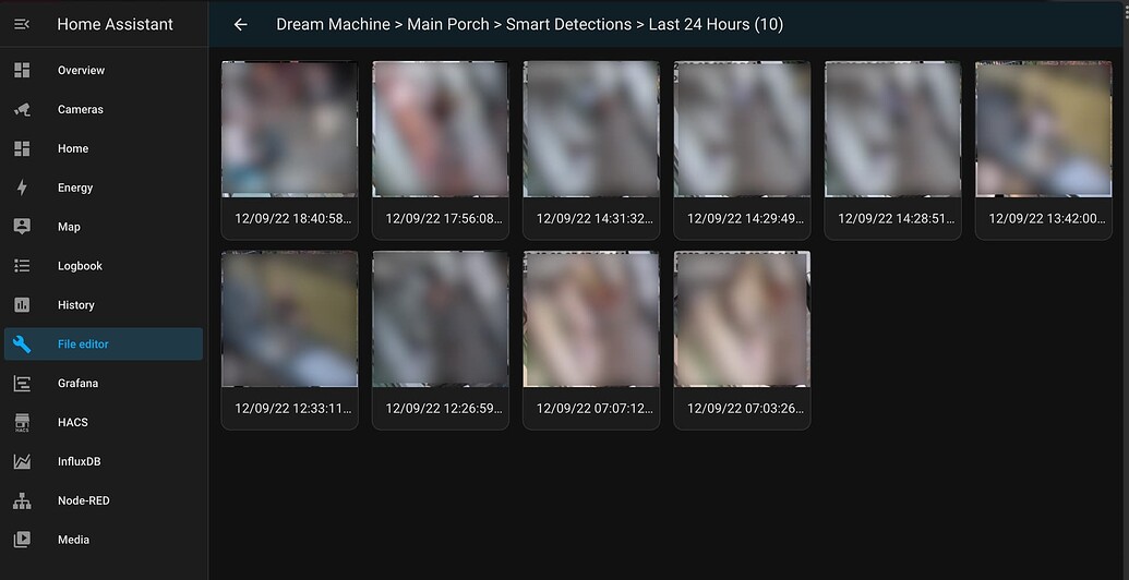 How to get UniFi Protect "detections" from the media folder in to a