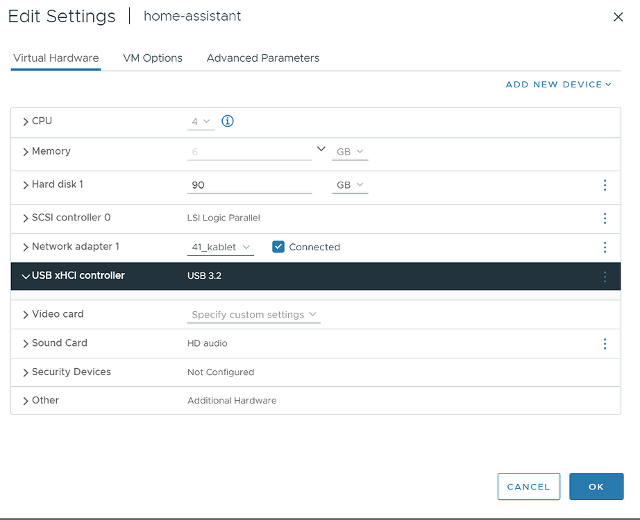 Issues with USB(skyconnect) on VMware ESXi Installation Home