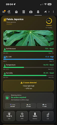 mobile-view