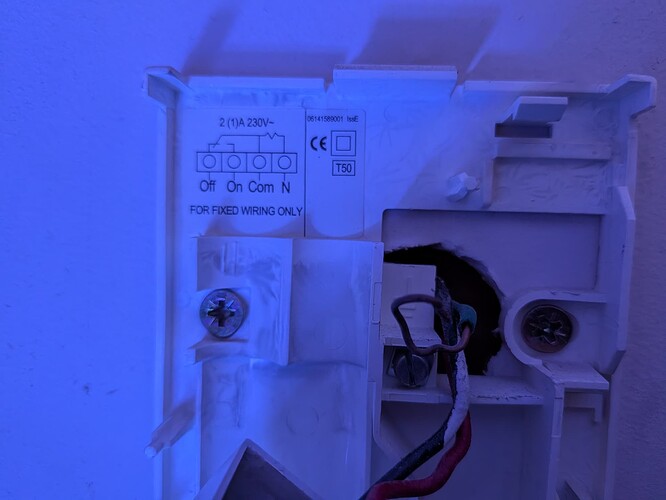 PXL_20251025_164058056.MACRO_FOCUS