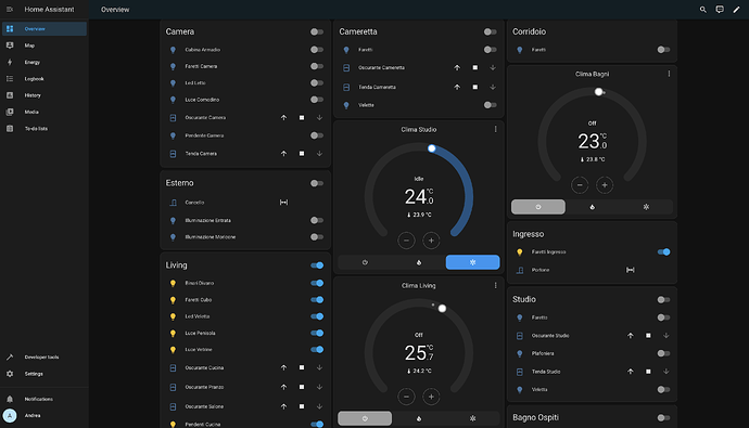 HomeAssistant view of the integration