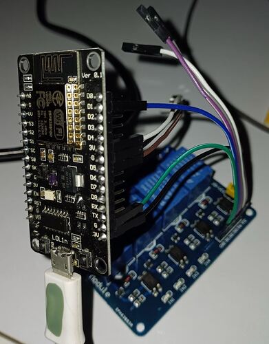 harelay2
