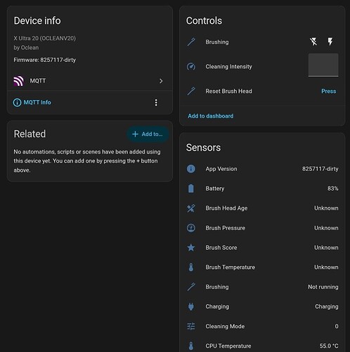 Home Assistant device page for the brush