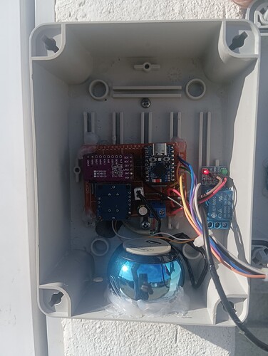 rear_internal_setup