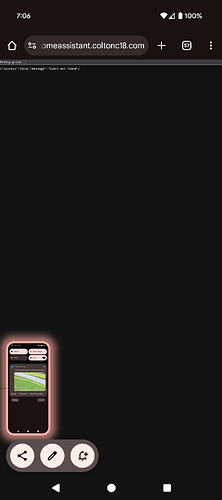 1000004339