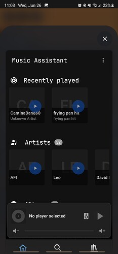 Screenshot_20240626_230308_Home Assistant