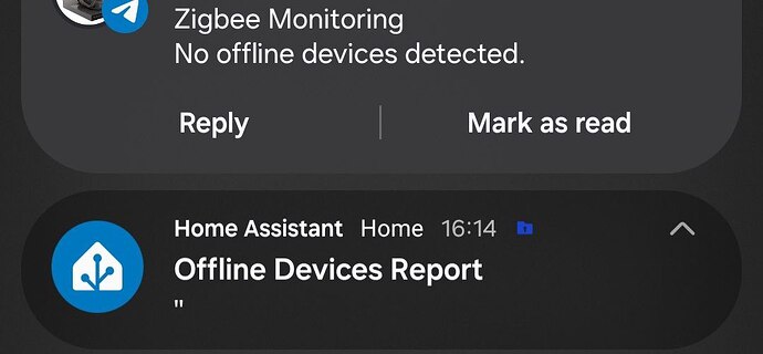 photo_2026-01-20_19-41-21
