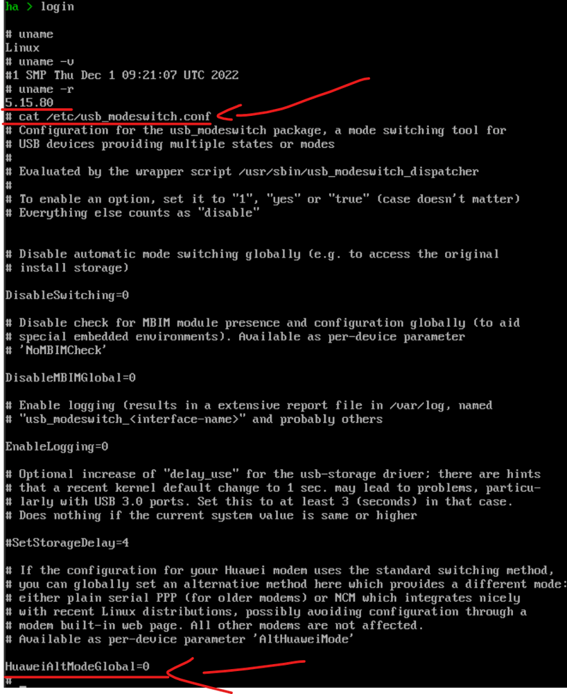 using-usb-modeswitch-and-usb-modem-with-hassos-home-assistant-os