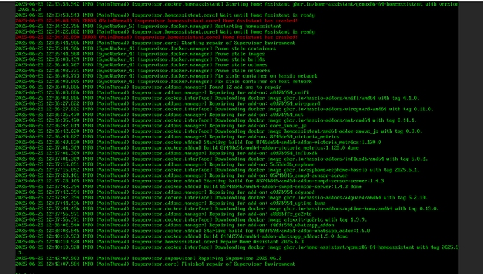 Screenshot 2025-06-25 124419