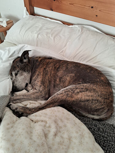 20260425074905