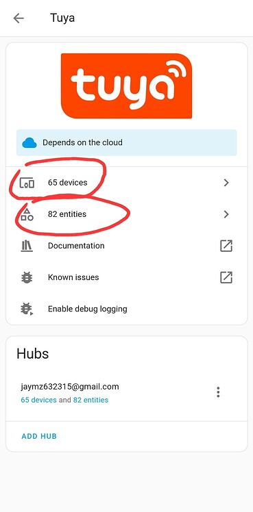Tuya integration Broken 02/2024? - Configuration - Home Assistant Community
