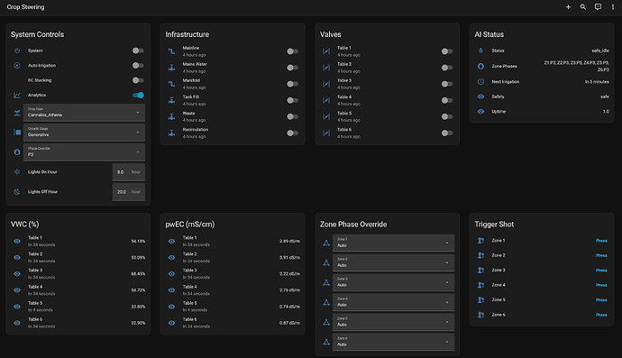 Dashboard 1