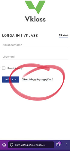 sketch-1760210852932