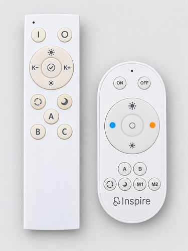 remote