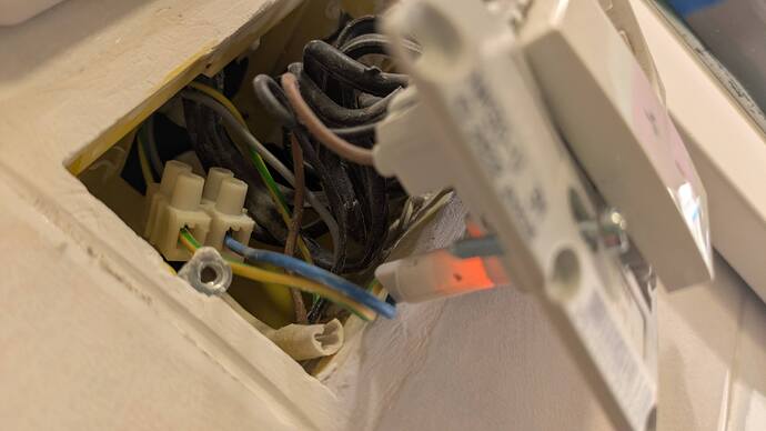 PXL_20260117_195018585