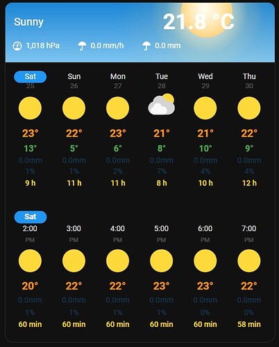 Detailed Weather Forecast Card