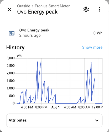 Screenshot 2025-08-01 at 1.07.25 pm