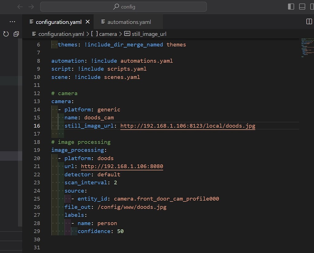 Can t able to create entity for doods camera frontend home